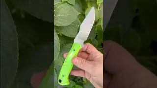 What Is Your EDC For Today Mine Is This Fire Ant By KC knives #bushcraft #edcknife #knifeskills