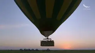 Serengeti Under Canvas | Tanzania | Expert Africa
