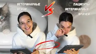 ветеринары vs владельцы питомцев