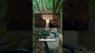Самое опасное видео в Интернете которое точно сведет тебя с ума/Спидран по ЮШ
