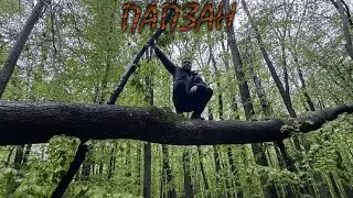 ПАПЗАН - обезьянье бытие