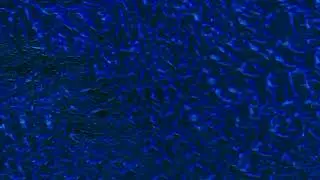 SALVIA PALTH - 