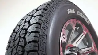 Dick Cepek Trail Country Tire