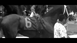 Thoroughbreds