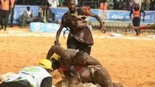 Modou Lo vs Ama Baldé Li dawna Yaram 😭❤️