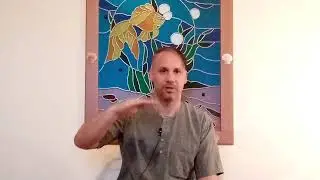 Ум и разум различия