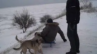 Папа и сын... мои любимые мужчины