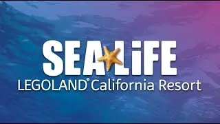 SEA LIFE California Aquarium Full Tour - Carlsbad, California