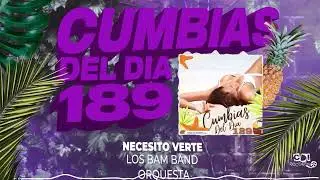 CUMBIAS DEL DÍA 189 Para Bailar Toda La Noche | Enganchados 2022 del Recuerdo y más