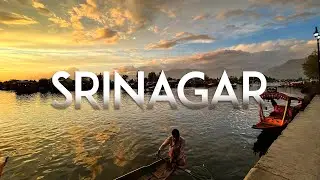 Srinagar, Kashmir | Dal Lake, Nishat Bagh, Botanical Garden, Chashme Shahi, Pari Mahal | 1 Day Trip