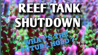 Shutting Down A Reef Tank | The Reason Why