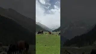 Мне вот эта природа нравится #mountains #киргизия #рекомендации #travel #горы #sunset #horse #nature
