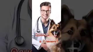 Однажды в Ветеринарной клинике! 🤣🤣🤣 #shorts #анекдотыотбелова #юмор #прикол #анекдоты #ржака #топ