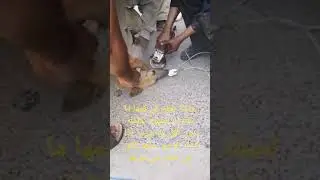 #subhallah