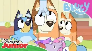 Magical Moments ✨ | Bluey 💙 | Disney Junior Arabia