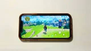 iPhone Xr - Genshin Impact test (Medium Graphics, 30 FPS)