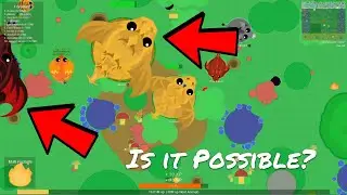 Mope.io - 2 King Dragons in 1 Server, Is it POSSIBLE?//ATTEMPTS, FAILS for Double KD (DISAPPOINTING)