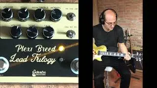 Colombo Audio Electronics Plexi Breed & Lead Trilogy combo #shorts