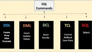 ddl dml dcl tcl commands in sql with examples | all types of commands in MySQL.