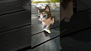 Meow! AR Cat - ARCore Demo