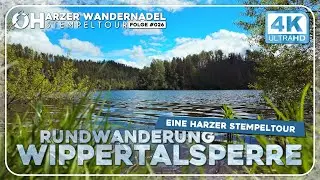 Rundwanderung Wippertalsperre - Eine Harzer Stempeltour, Stausee, Staumauer, Harzer Naturistenstieg