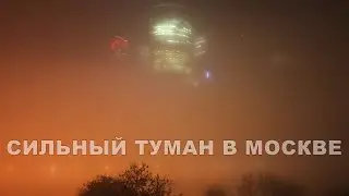 Густой туман не уходит из Москвы. Запах гари приносит жителям города большой дискомфорт