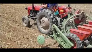 Postrna Setva Soje 26.06.2021. | IMT 533 i Nodet 5r | sowing soybeans 26.06.2021