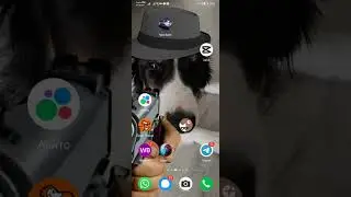 #shortvideo #tiktok ходилки бродили