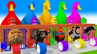 Cow Mammoth Elephant Lion Bear Monkey Guess The Right Door ESCAPE ROOM CHALLENGE Animals Cage Game 2