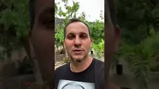 Кладбище Иоанна Крестителя. Рио де Жанейро. Бразилия. Cemitério de s João Baptista. Rio. Brazil.