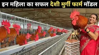 गांव में रहकर कर रही है देशी मुर्गी पालन | Desi Poultry Farm | DP Cross Poultry Farm