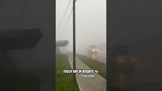 Foggy day today 😶‍🌫️