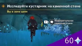Исследуйте кустарник на каменной стене | Genshin impact | 60 Примогемов