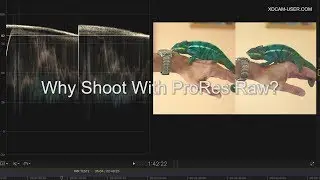 Why Shoot With ProRes Raw?