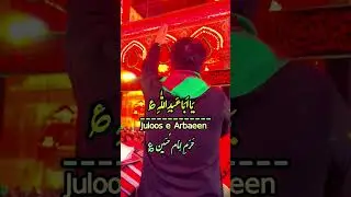 Juloos e Arbaeen Haram e Imam e Hussain a.s || Ali Safdar || Nasiran e Mehdi Group of Ziyarat #matam