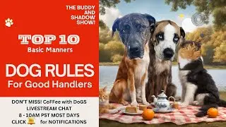 YoUR DoG MaNNeRS CHeCK LiST #1. #dog