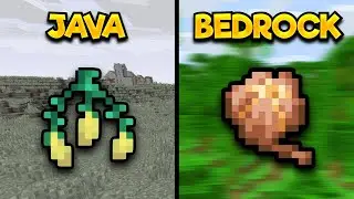 Minecraft 1.20 Is DIFFERENT On Java & Bedrock