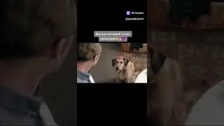 говорящий пёс он может всё