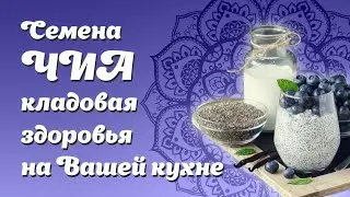 Семена Чиа - уникальный суперфуд для вашего здоровья.