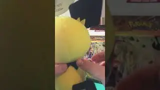 Pokémon Center Exclusive Pichu Plush