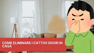 Soluzioni Efficaci e Rimedi Naturali per Eliminare Odori Persistenti in Casa
