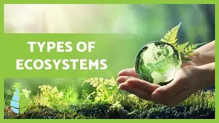 TYPES of ECOSYSTEMS and their DEFINITION 🏜️🏙️🌅