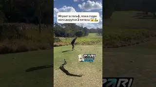 Когда СЛИШКОМ увлечен любимой игрой 😂
