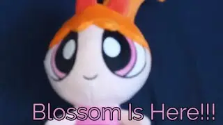 Kidrobot Phunny Powerpuff Girls Blossom Plush Review