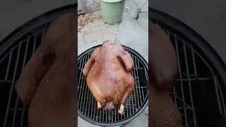 Happy Thanksgiving!