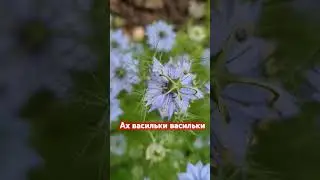 #жизнь #красота #природа #весна #цветы #краснодар #