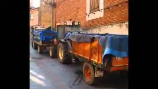 PASEANDO ENTRE UVAS
