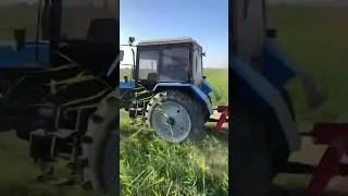 Нормально с такой скоростью косить? #youtubeshorts #horse #reels