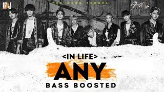 Stray Kids - Any (아니) [REVERB BASS BOOSTED]