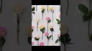 свадебная видеосъёмка